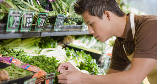 A young Asian man looks at parsley as he works in the produce department at a grocery store